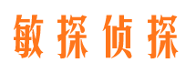 宁德市私家侦探